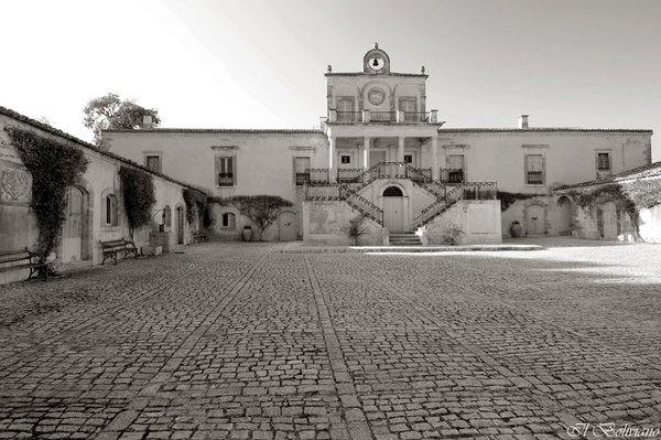“LE FOTO PIU’ BELLE DEI NOSTRI LETTORI”