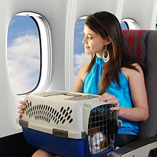 IN AEREO PORTANDO CON SE’ IL PROPRIO AMICO A QUATTRO ZAMPE