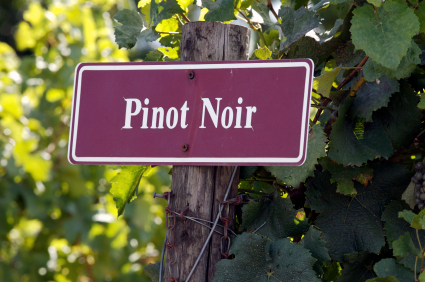 LA DIFFICILE SFIDA CON IL PINOT NOIR