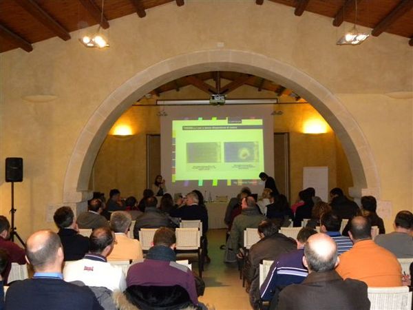 SEMINARIO DELL’ORDINE DEGLI INGEGNERI PER IL PUNTO DELLA SITUAZIONE