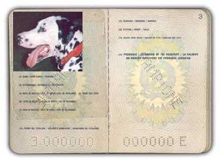 IN VIAGGIO VERSO… l’ITALIA!
