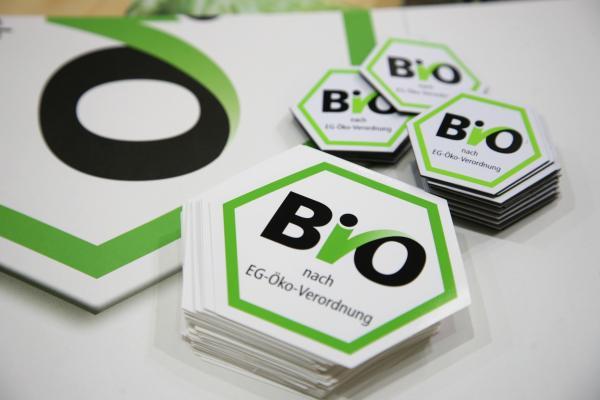 IL VINO BIOLOGICO È UNA MOSCA BIANCA
