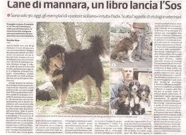 “IL CANE DA MANNARA” TRA CRISTALLI, TAPPETI E PORCELLANE.