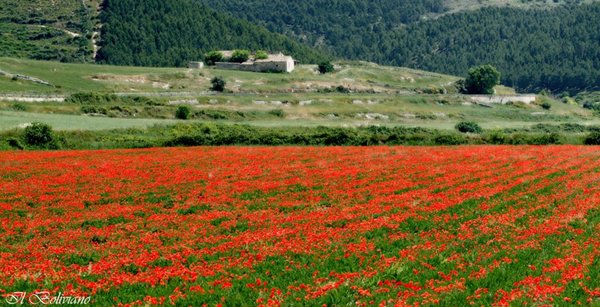 “LE FOTO PIU’ BELLE DEI NOSTRI LETTORI”