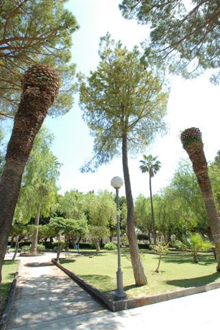 VITTORIA, PULIZIA STRAORDINARIA DELLA VILLA COMUNALE E DELLE SPIAGGETTE DI SCOGLITTI