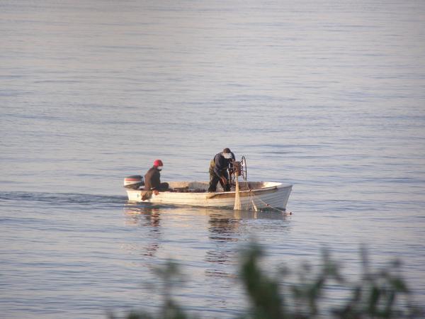 LOTTA CONTINUA ALLA PESCA ABUSIVA DA PARTE DEI MILITARI DELLA CAPITANERIA DI PORTO DI POZZALLO