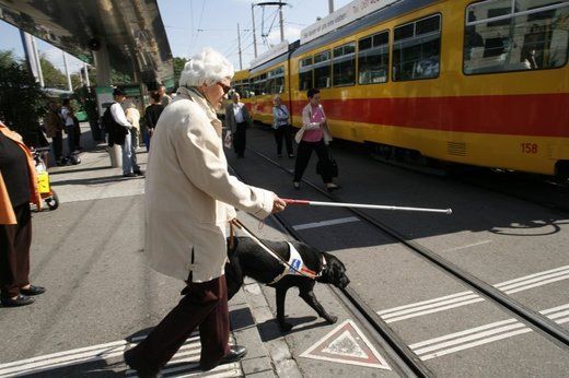 ANCORA IN VIAGGIO COL CANE: TRENI PRIVATI?