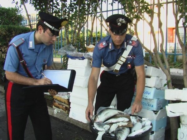 RISTORATORI DENUNCIATI PER COMMERCIO DI PESCE PRIVO DI TRACCIABILITA’ E IN CATTIVO STATO DI CONSERVAZIONE