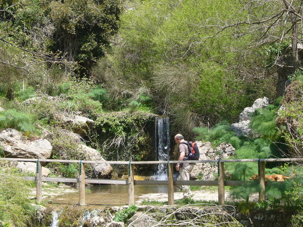 WEEK END IN MONTAGNA FRA ROVERELLE, ACERI, PINI E PIOPPI