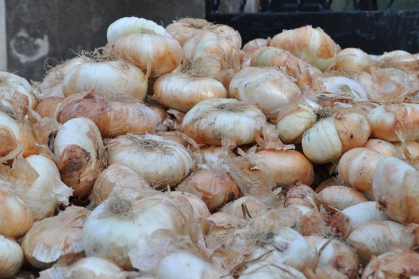 Annullata la Sagra della Cipolla di Giarratana