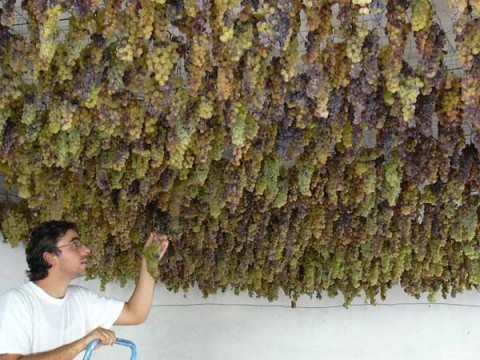 LA CALABRIA TRA TRADIZIONE E INNOVAZIONE