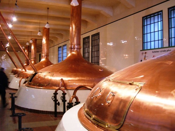 REPUBBLICA CECA E BIRRA