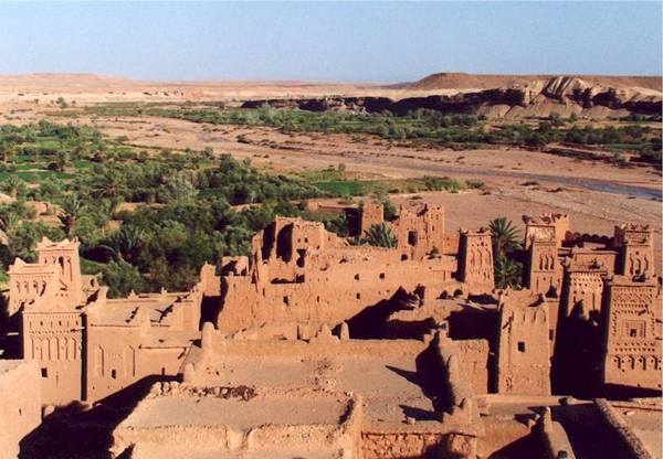 SI PRODUCE VINO ANCHE NEL MAGHREB