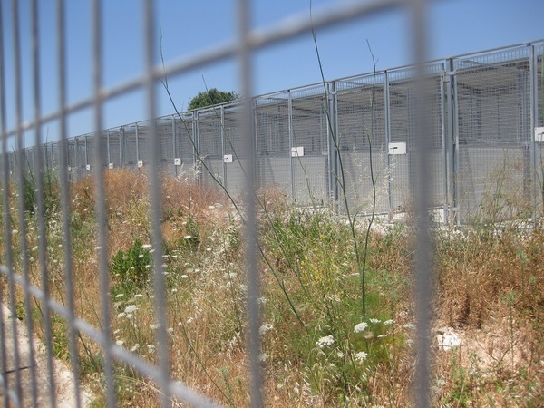 IL CANILE MUNICIPALE DI MODICA E’ PRONTO MA RESTA ANCORA CHIUSO, LA DENUNCIA DI GIORGIO IABICHELLA