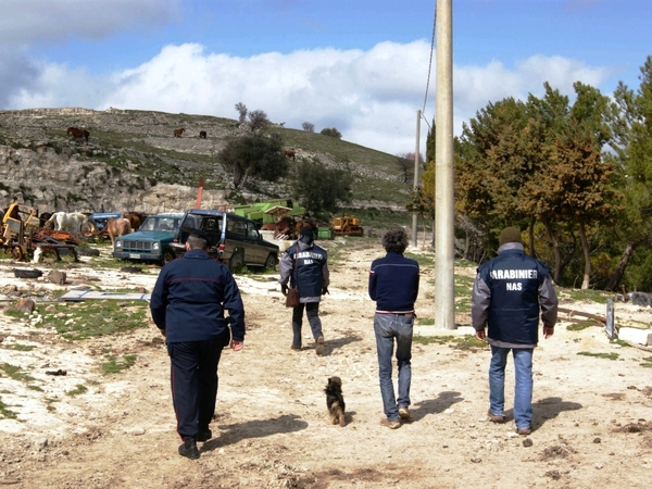 DINUNCIATO AGR ICOLTORE PER IRREGOLARE GESTIONE DI RIFIUTI E MALGOVERNO DI ANIMALI