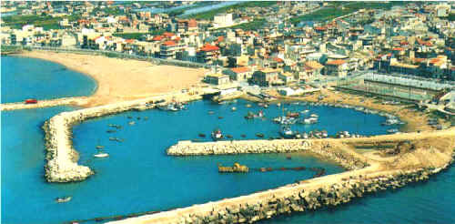 RIVALUTARE SCOGLITTI