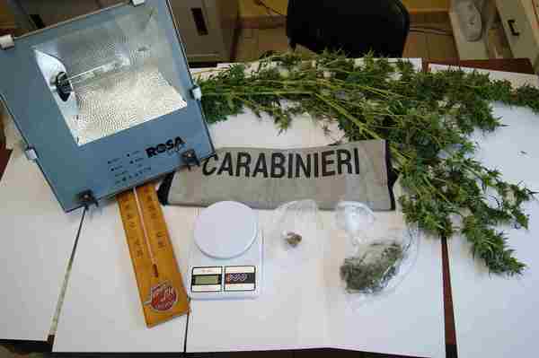 MARIJUANA “HOMEMADE”: ARRESTATO VITTORIESE