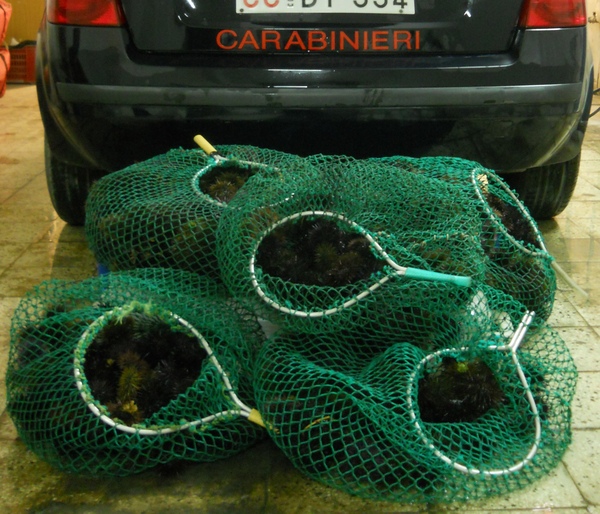 SCOGLITTI: CONTINUA IL CONTRASTO ALLA PESCA DI FRODO