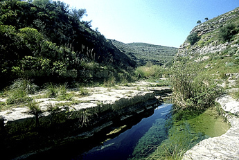 SALVALARTE