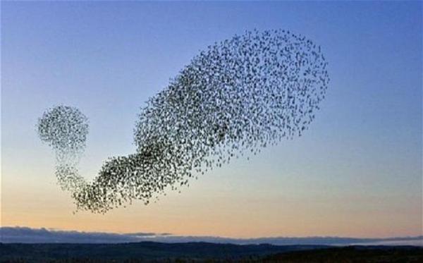 MEGLIO GUARDARE IL CIELO