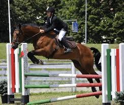 TROFEO SICILIA 2014 – SALTO OSTACOLI