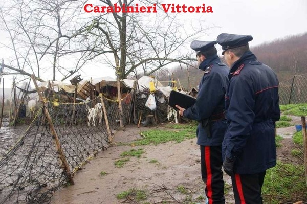 VITTORIA.SERVIZIO STRAORDINARIO DI CONTRASTO AL PASCOLO ABUSIVO