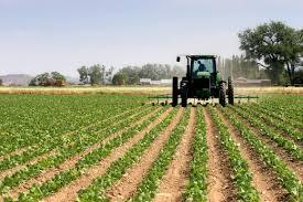 IMU AGRICOLA, : “LA SITUAZIONE E’ DIVENTATA INSOSTENIBILE PER GLI OPERATORI”