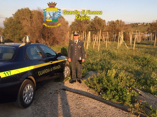 OPERAZIONE “PHANTOM”,  LA GUARDIA DI FINANZA SCOPRE 65 FALSI BRACCIANTI AGRICOLI. SEQUESTRO DI BENI PER OLTRE 365.000 EURO