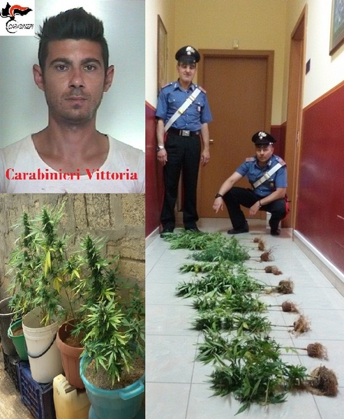 SCOPERTA PICCOLA SERRA DI MARIJUANA SUL TERRAZZO DI CASA: ARRESTATO UN ACATESE