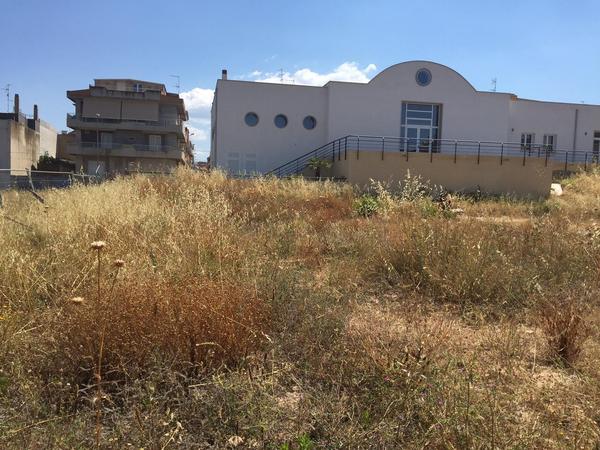 ASSENZA: “CENTRO DIURNO DESTINATO AI MINORI DELLA NOSTRA CITTA’”