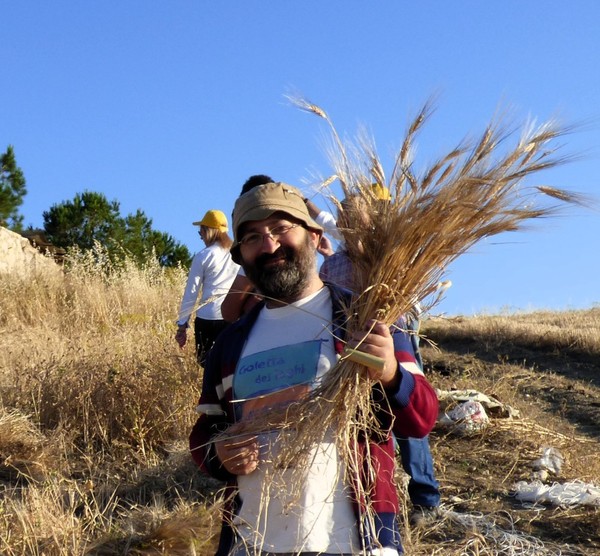 I GRANI ANTICHI SICILIANI DA VALORIZZARE