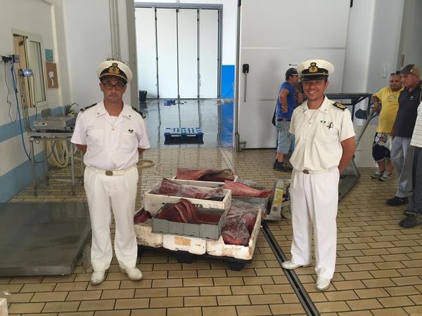 OPERAZIONE “MARE SICURO 2015”