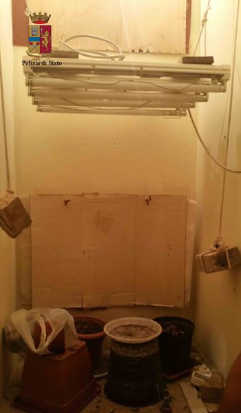 LA POLIZIA DI STATO HA INDIVIDUATO UN RAGUSANO CHE AVEVA IN CASA UNA PICCOLA SERRA PER LA COLTIVAZIONE DELLA MARIJUANA