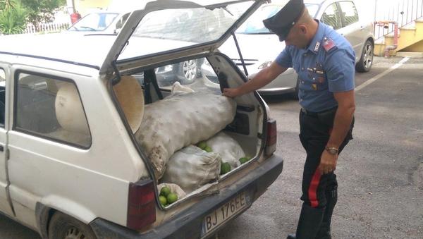 SIRACUSA.     CONTROLLO DEL TERRITORIO: CARABINIERI ARRESTANO UN GIOVANE PER DETENZIONE AI FINI DI SPACCIO.