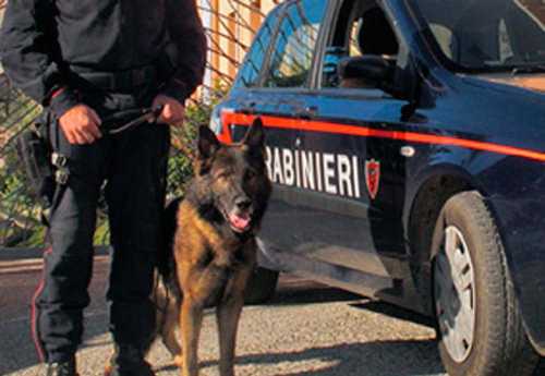 ISPICA: OPERAZIONE ANTIDROGA DEI CARABINIERI: UN ARRESTO