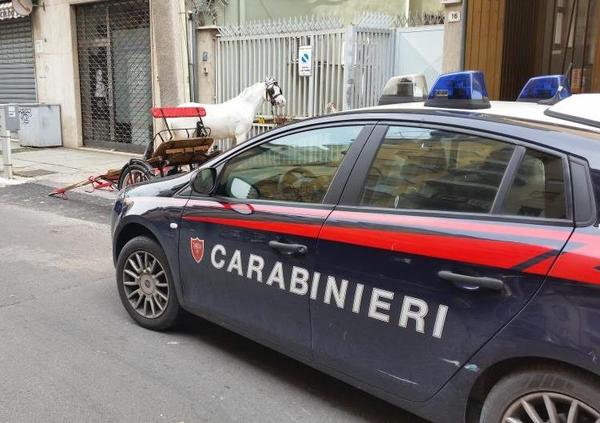 SCICLI CALESSE IMPAZZITO, INTERVENGONO I CARABINIERI