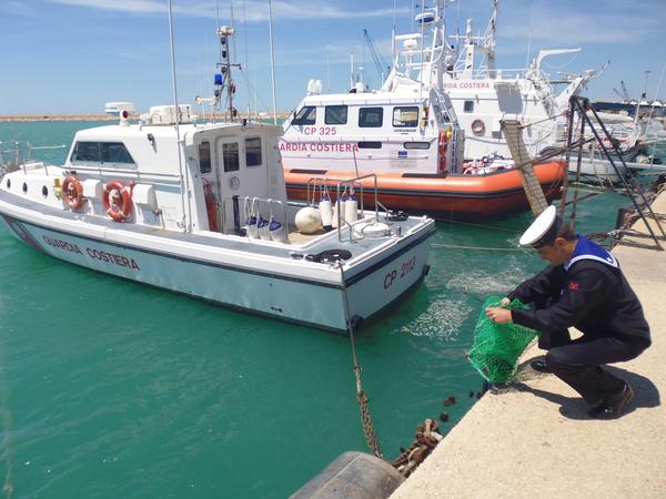 I MILITARI DELLA CAPITANERIA DI PORTO DI POZZALLO SEQUESTRANO 800 RICCI DI MARE