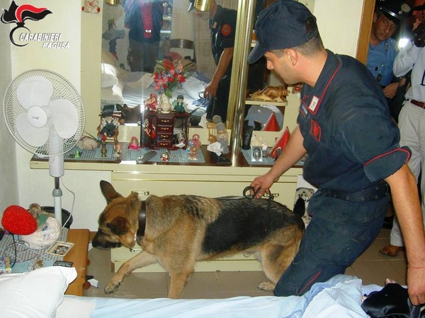 GIOVANE SPACCIATORE ARRESTATO CON 50 GRAMMI DI HASHISH E MARIJUANA