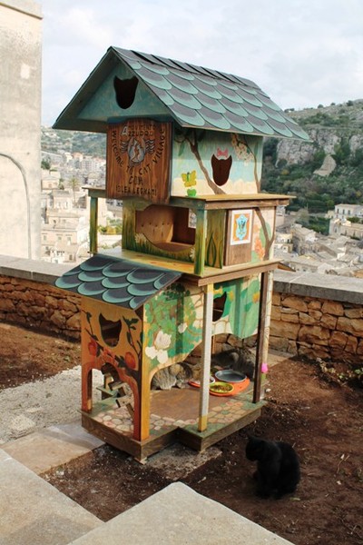 NASCE LA “CAT VILLAGE” NELL’AREA DELL’ENTE LICEO CONVITTO