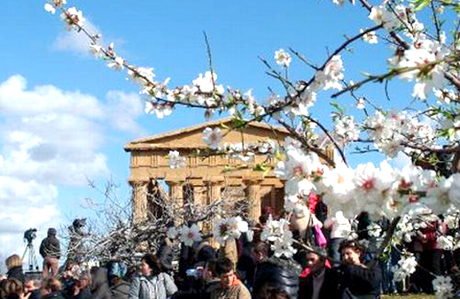 Coronavirus: sagra mandorlo in fiore sospesa. Ad Agrigento