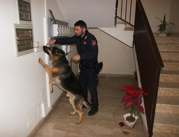 SCOGLITTI. CONTROLLI ANTIDROGA DEI CARABINIERI