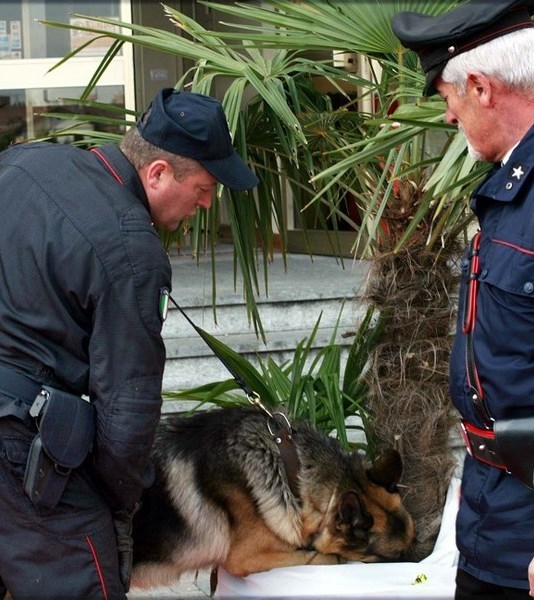 SIRACUSA.  VIOLA GLI OBBLIGHI DELLA SORVEGLIANZA SPECIALE E SI DA ALLA FUGA