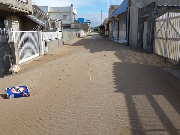 INCERTEZZE SU SCOGLITTI
