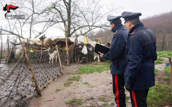 ACATE. SERVIZIO STRAORDINARIO DI CONTRASTO AL PASCOLO ABUSIVO