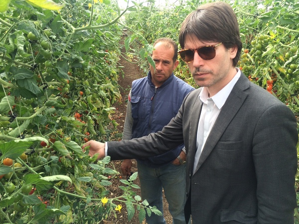 INTERROGAZIONE CON RICHIESTA DI RISPOSTA SCRITTA ALLA COMMISSIONE