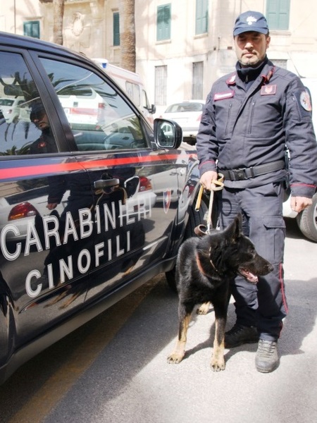 MINORENNE CON L’ERBA ARRESTATO DAI CARABINIERI