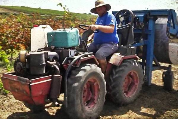 VIDEO – COL TRATTORE IN TANGENZIALE “ANDIAMO A VENDEMMIARE”