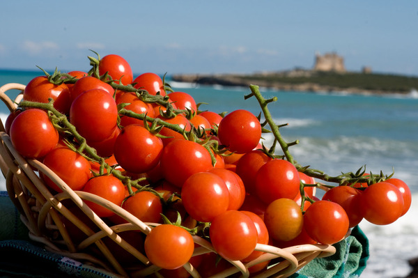 GUERRA DEL POMODORINO, SI CRITICANO I PAESI DEL NORD AFRICA MA I VERI GUAI SONO INTERNI ALLA SICILIA