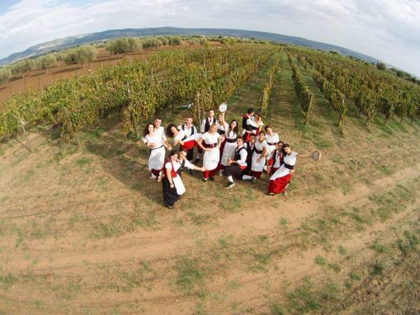 SI E’ CONCLUSA IERI SERA LA 30° EDIZIONE DELLA SAGRA DELLA VENDEMMIA DI PEDALINO