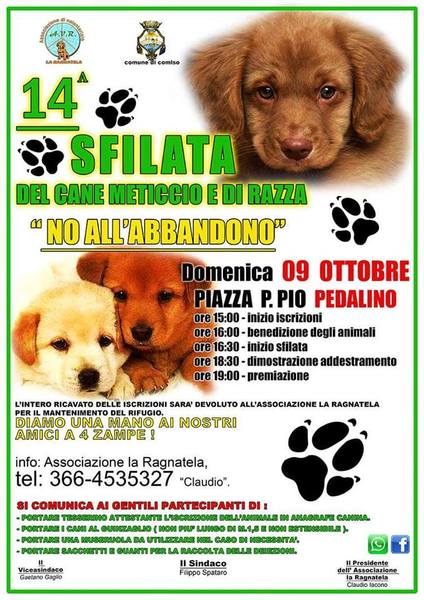 DOMANI A PEDALINO 14°SFILATA DEL CANE METICCIO E DI RAZZA PER DIRE “NO ALL’ABBANDONO”